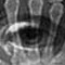391-28: delivered the hand of our lady, Fatima to Marie Roget